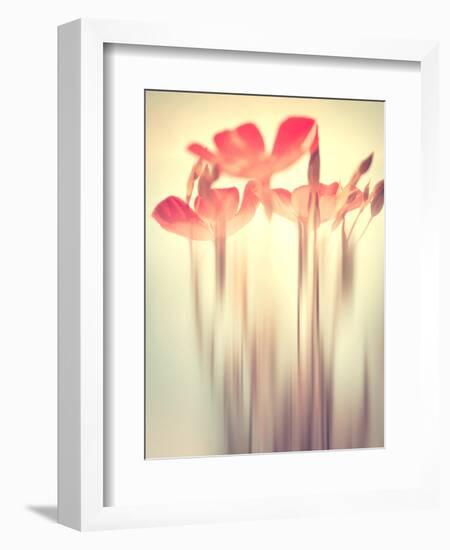 Because of You 2-Philippe Sainte-Laudy-Framed Photographic Print