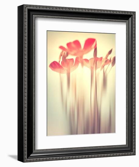 Because of You 2-Philippe Sainte-Laudy-Framed Photographic Print