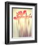 Because of You 2-Philippe Sainte-Laudy-Framed Photographic Print