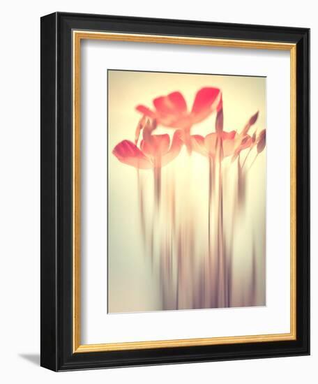 Because of You 2-Philippe Sainte-Laudy-Framed Photographic Print