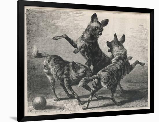 Art Print, , large