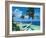 Beckoning Palms-Scott Westmoreland-Framed Art Print