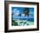 Beckoning Palms-Scott Westmoreland-Framed Premium Giclee Print