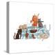 Stretched Canvas Print