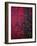 Bed of Flowers-Doug Chinnery-Framed Photographic Print