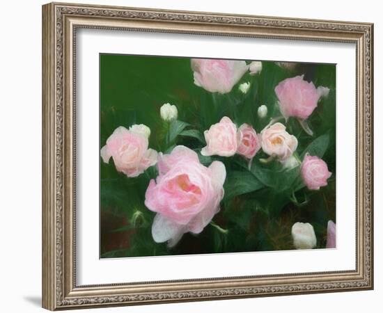 Bed of Roses, 2018,-Helen White-Framed Giclee Print