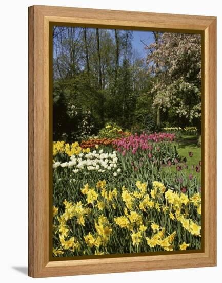 Bed of Tulips, Keukenhof Gardens, Netherlands-null-Framed Premier Image Canvas