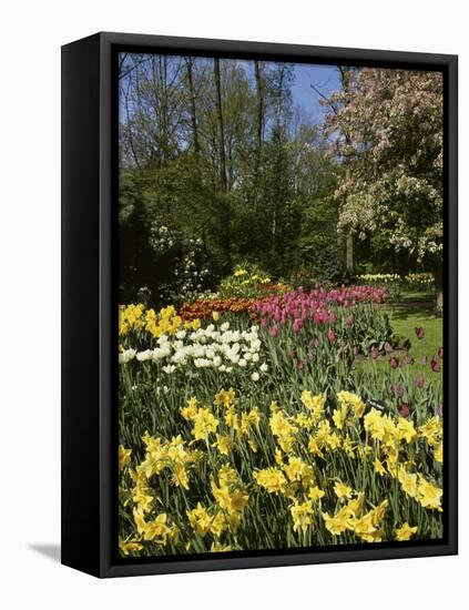 Bed of Tulips, Keukenhof Gardens, Netherlands-null-Framed Premier Image Canvas