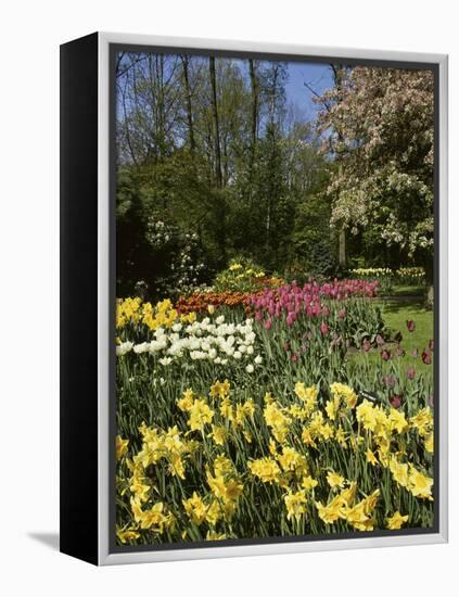 Bed of Tulips, Keukenhof Gardens, Netherlands-null-Framed Premier Image Canvas