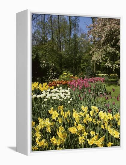 Bed of Tulips, Keukenhof Gardens, Netherlands-null-Framed Premier Image Canvas