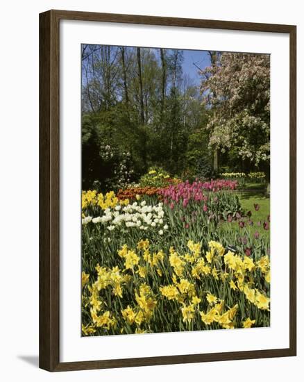 Bed of Tulips, Keukenhof Gardens, Netherlands-null-Framed Photographic Print