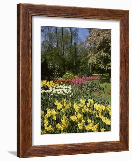 Bed of Tulips, Keukenhof Gardens, Netherlands-null-Framed Photographic Print