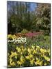 Bed of Tulips, Keukenhof Gardens, Netherlands-null-Mounted Photographic Print