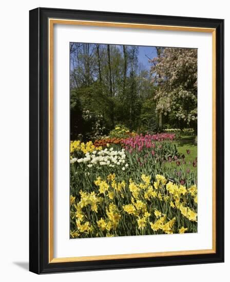 Bed of Tulips, Keukenhof Gardens, Netherlands-null-Framed Photographic Print