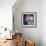 Bedazzled II-Monika Burkhart-Framed Photo displayed on a wall