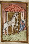 St. Cuthbert's Horse Pulls Down Bread and Meat-Bede-Framed Premier Image Canvas