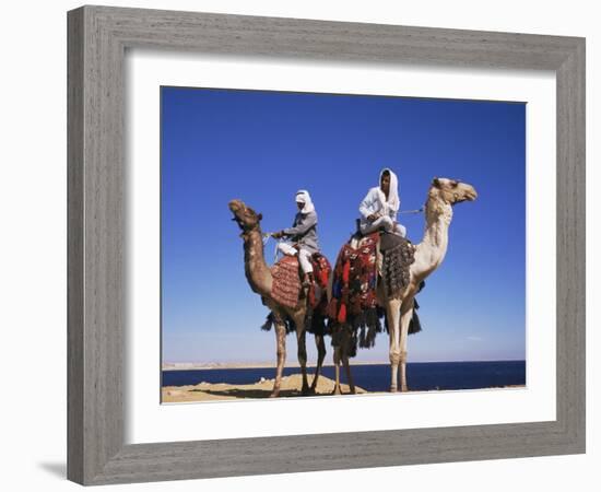 Bedouin and Camels, Sinai, Egypt, North Africa, Africa-Nico Tondini-Framed Photographic Print