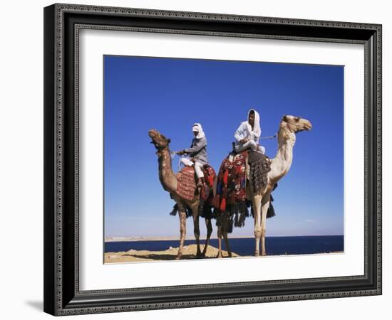 Bedouin and Camels, Sinai, Egypt, North Africa, Africa-Nico Tondini-Framed Photographic Print