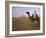 Bedouin Camel Rider in Front of Pyramid of Djoser, Egypt, North Africa-Staffan Widstrand-Framed Photographic Print