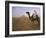 Bedouin Camel Rider in Front of Pyramid of Djoser, Egypt, North Africa-Staffan Widstrand-Framed Photographic Print