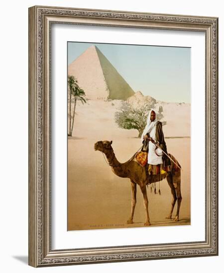 Bedouin on camel on the Giza plateau in Cairo. Ca. 1900-1910-null-Framed Giclee Print