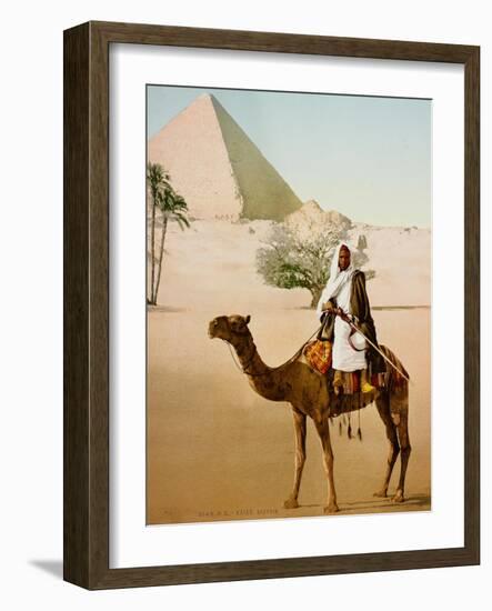 Bedouin on camel on the Giza plateau in Cairo. Ca. 1900-1910-null-Framed Giclee Print