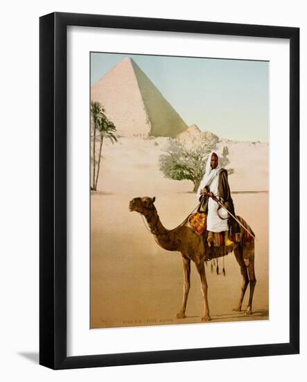 Bedouin on camel on the Giza plateau in Cairo. Ca. 1900-1910-null-Framed Giclee Print