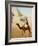 Bedouin on camel on the Giza plateau in Cairo. Ca. 1900-1910-null-Framed Giclee Print