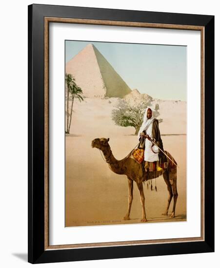 Bedouin on camel on the Giza plateau in Cairo. Ca. 1900-1910-null-Framed Giclee Print