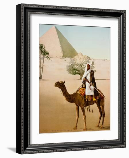 Bedouin on camel on the Giza plateau in Cairo. Ca. 1900-1910-null-Framed Giclee Print