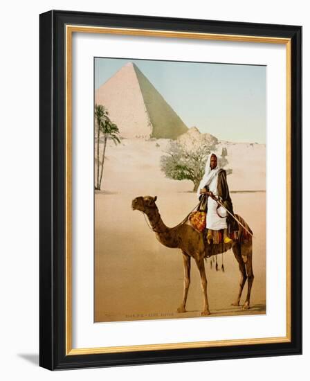 Bedouin on camel on the Giza plateau in Cairo. Ca. 1900-1910-null-Framed Giclee Print