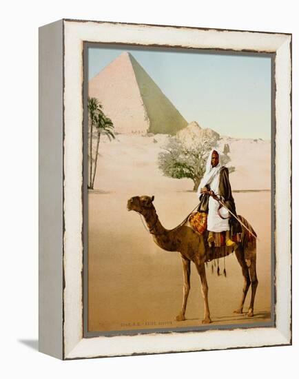 Bedouin on camel on the Giza plateau in Cairo. Ca. 1900-1910-null-Framed Premier Image Canvas