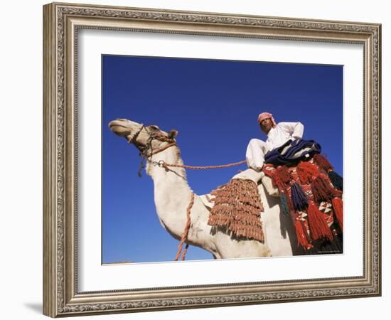 Bedouin Riding Camel, Sinai, Egypt, North Africa, Africa-Nico Tondini-Framed Photographic Print