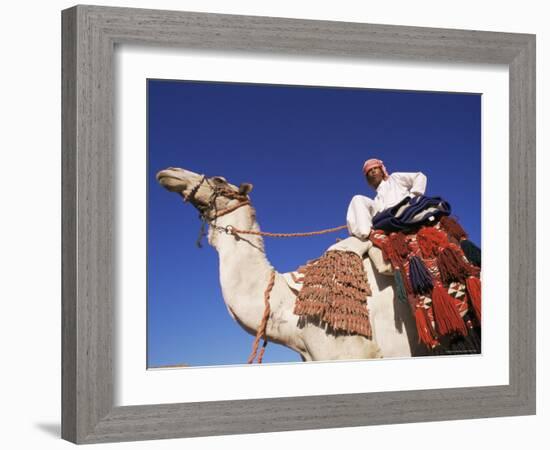 Bedouin Riding Camel, Sinai, Egypt, North Africa, Africa-Nico Tondini-Framed Photographic Print