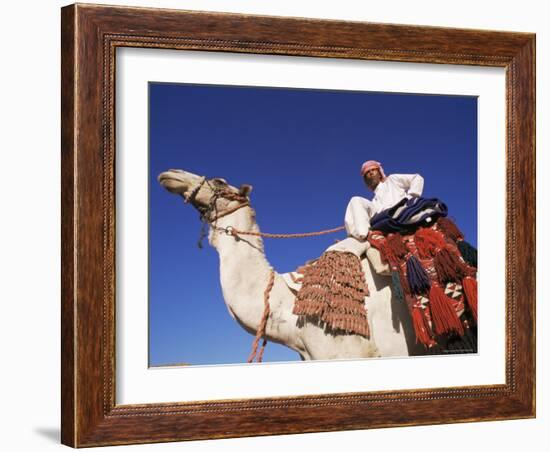 Bedouin Riding Camel, Sinai, Egypt, North Africa, Africa-Nico Tondini-Framed Photographic Print