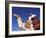 Bedouin Riding Camel, Sinai, Egypt, North Africa, Africa-Nico Tondini-Framed Photographic Print