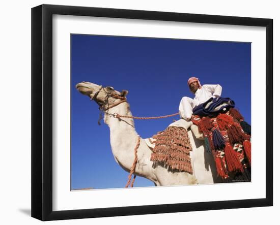 Bedouin Riding Camel, Sinai, Egypt, North Africa, Africa-Nico Tondini-Framed Photographic Print