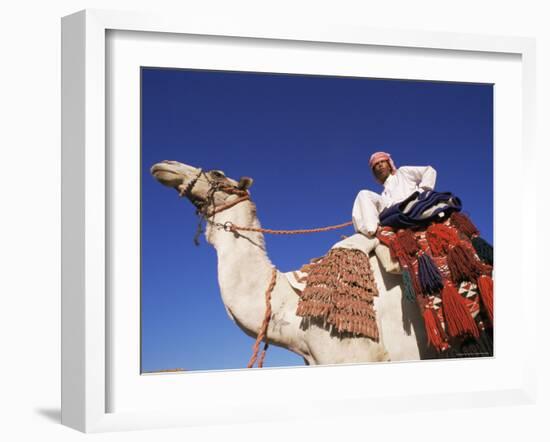 Bedouin Riding Camel, Sinai, Egypt, North Africa, Africa-Nico Tondini-Framed Photographic Print