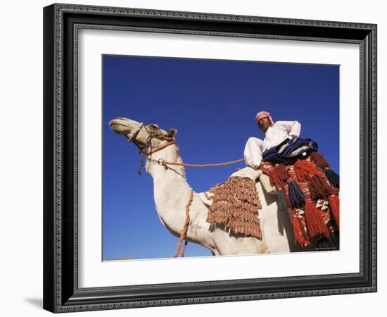 Bedouin Riding Camel, Sinai, Egypt, North Africa, Africa-Nico Tondini-Framed Photographic Print