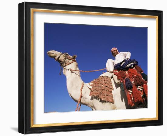 Bedouin Riding Camel, Sinai, Egypt, North Africa, Africa-Nico Tondini-Framed Photographic Print