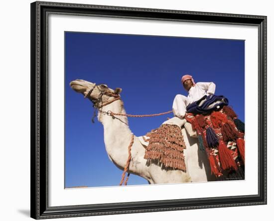 Bedouin Riding Camel, Sinai, Egypt, North Africa, Africa-Nico Tondini-Framed Photographic Print