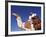 Bedouin Riding Camel, Sinai, Egypt, North Africa, Africa-Nico Tondini-Framed Photographic Print