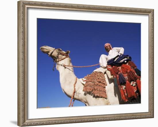 Bedouin Riding Camel, Sinai, Egypt, North Africa, Africa-Nico Tondini-Framed Photographic Print