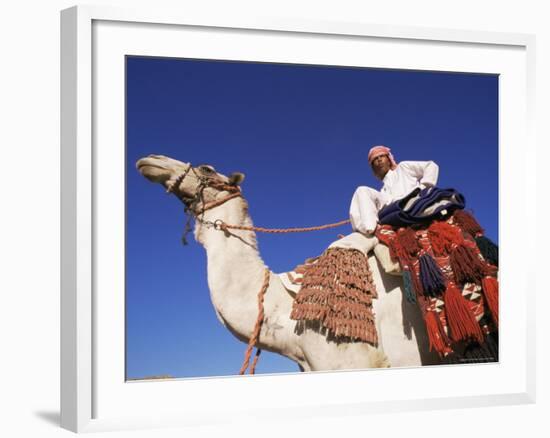 Bedouin Riding Camel, Sinai, Egypt, North Africa, Africa-Nico Tondini-Framed Photographic Print