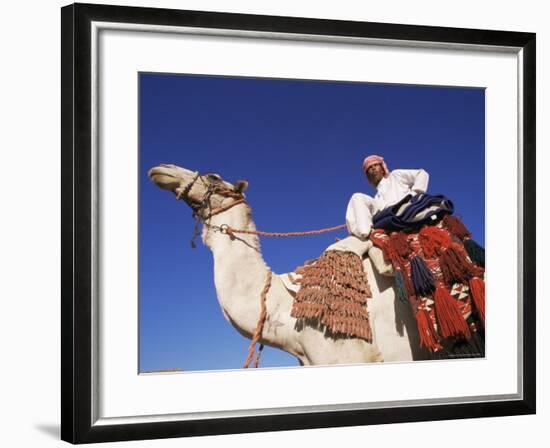 Bedouin Riding Camel, Sinai, Egypt, North Africa, Africa-Nico Tondini-Framed Photographic Print