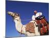 Bedouin Riding Camel, Sinai, Egypt, North Africa, Africa-Nico Tondini-Mounted Photographic Print