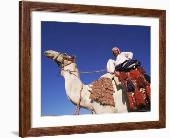 Bedouin Riding Camel, Sinai, Egypt, North Africa, Africa-Nico Tondini-Framed Photographic Print