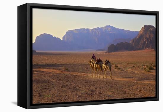 Bedouin with Camels, Wadi Rum, Jordan, Middle East-Neil Farrin-Framed Premier Image Canvas