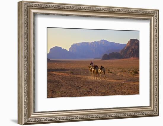 Bedouin with Camels, Wadi Rum, Jordan, Middle East-Neil Farrin-Framed Photographic Print