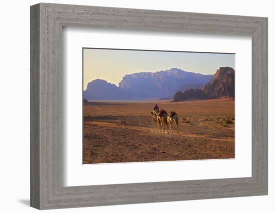 Bedouin with Camels, Wadi Rum, Jordan, Middle East-Neil Farrin-Framed Photographic Print